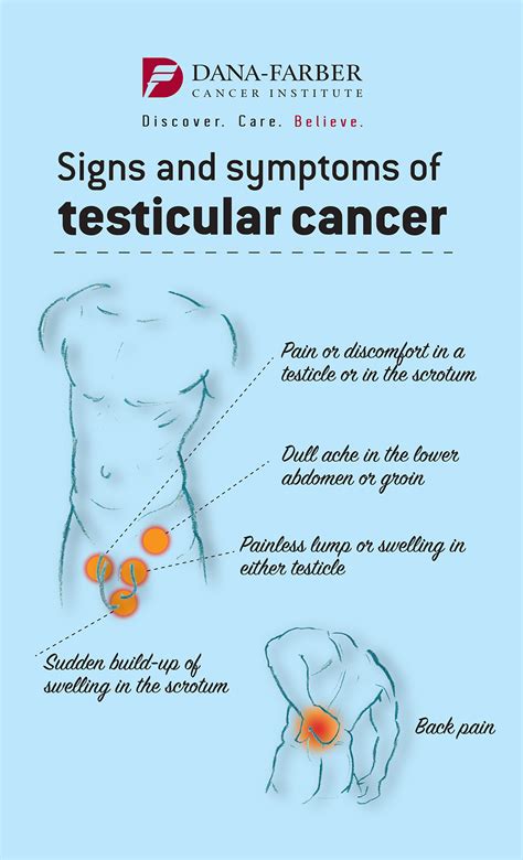 hard white bump on testes|does testicular cancer cause swelling.